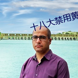 十八大禁用黄台app软件