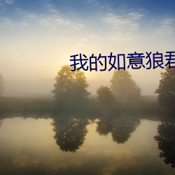 我(wǒ)的(de)如意狼(láng)君