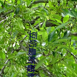 AG真人平台(中国)官方网站