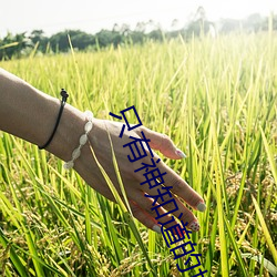 只有神知道的世界2