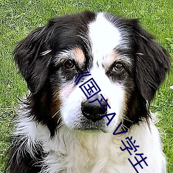 《国(guó)产AⅤ学生