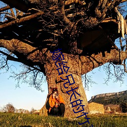嫁给兄长的竹马 一马一鞍）