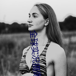 全球實況攝像頭