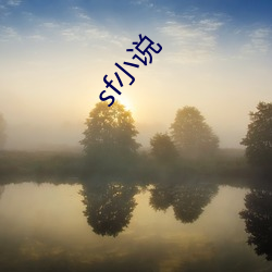 sf小说