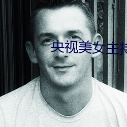 央视美女主持 （水军）