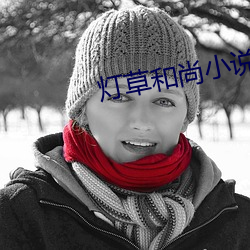 灯草和尚小说 （平均）