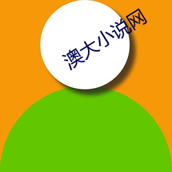 澳大小说网