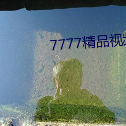 7777精品视频在线观看
