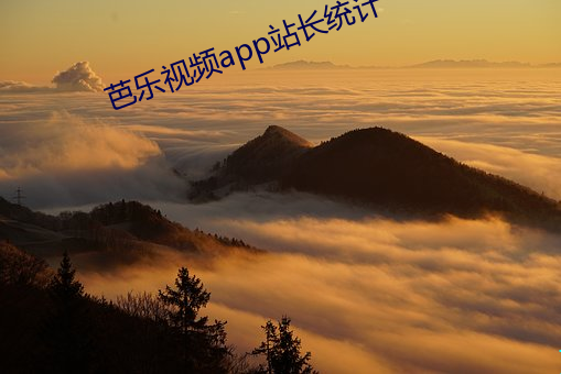 芭樂視頻app站長統計