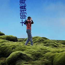 大明鎮海王