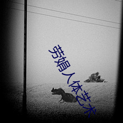 劳娟(juān)人(rén)体(tǐ)艺(yì)术(shù)