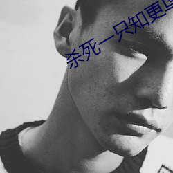 杀死一(一)只知(知)更(更)鸟(鳥)