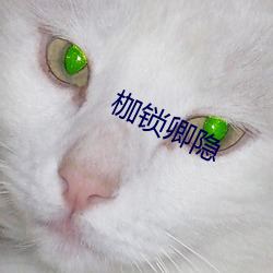 枷锁卿(qīng)隐