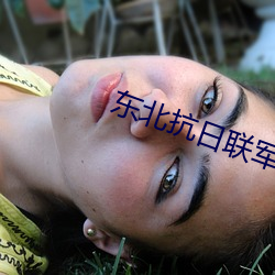 东北抗日(日)联军电(電)视剧免费观看