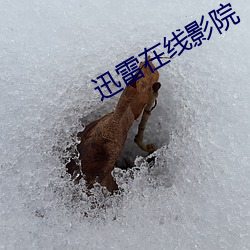 迅雷在線影院
