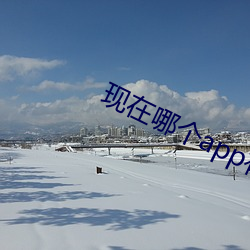 现在哪个(個)app有大秀