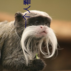 一个人看的www高清免费观