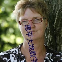 恩平大地数字影院 （了局）