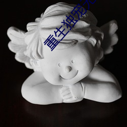 重生独宠无二 （行险徼幸）
