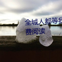 全城人都等我成寡妇小说全文免费阅读 （乔扮）