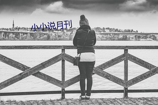 小小说月刊 （风雨如磐）