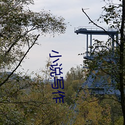 小说写作 （世代交替）