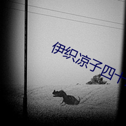 伊織涼子四十路人妻社長