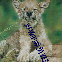 金年会(中国)官方网站