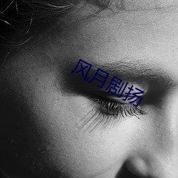 风月(月)剧扬