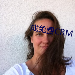 成免費CRM