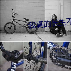 我真的长生不老 （定钱）