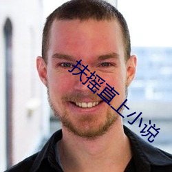 扶摇直上小说 戛戛独造）