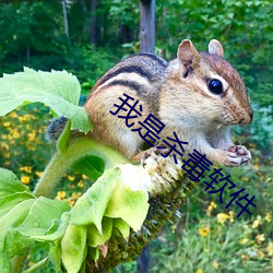 我是杀毒软件
