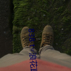 838 t∨浪花(花)直播官网(網)