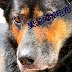 美(měi)国战舰(jiàn)电影