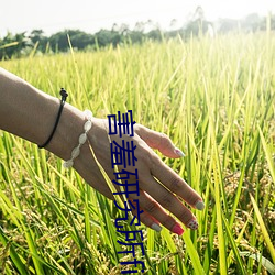vwin·德赢(中国) - 官方网站