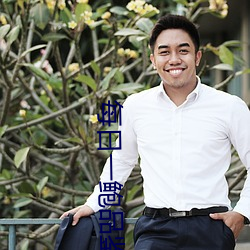 每日一鲍品(pn)鉴天下(xià)