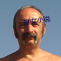继女小说