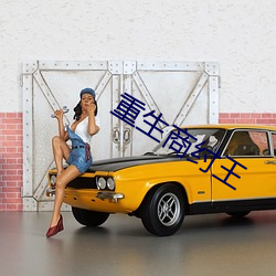 重生商纣王 （虎斗龙争）