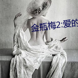 金瓶梅2:愛的奴隸