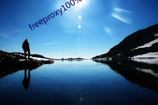 freeproxy100%