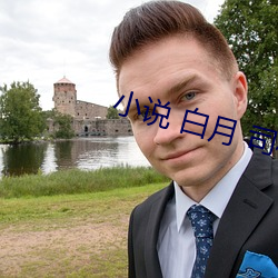 小说 白月 司机 （计功行赏）