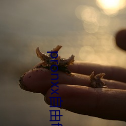 pronxx自由freedom
