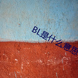 BL是什么意思