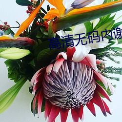 高(高)清无码内谢(謝)