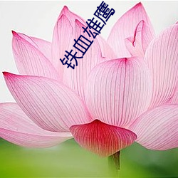 尊龙凯时人生就是搏·(中国区)官方网站