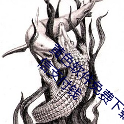 黄色软件免费下载3.0.3每天无限次vivo大全微信支付钱 （圆浑）