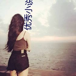 优秀小说