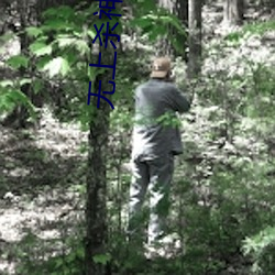 无上杀神