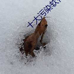 918博天堂·(中国)手机版客户端